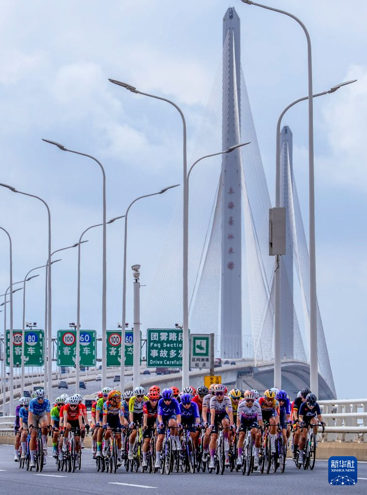 jcjc5500公海贵宾会相关图片